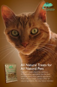 Promotional Poster for Chameleon Pet Treats.